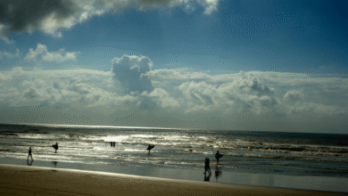 Foto de Governo federal sanciona leis que criam rotas…