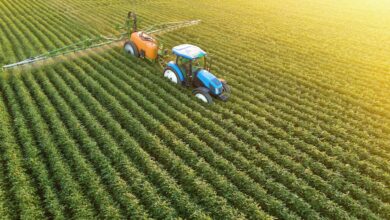 Foto de Ressaca a digerir e margem menor: a visão do Itaú BBA para 25/26