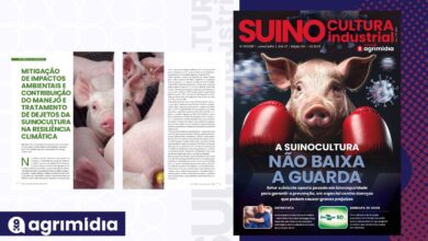 Foto de Contribuição do manejo e tratamento de…