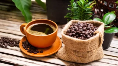 Foto de Empresas do café e de fertilizantes se unem por descarbonização