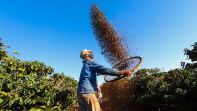 Foto de Calor persistente retorna após dois meses de…
