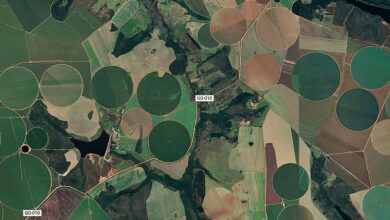 Foto de Suspensão da Moratória da Soja pelo Cade preocupa Meio Ambiente