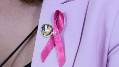 Foto de Hoje é Dia destaca Outubro Rosa, dia dos idosos e proteção aos animais