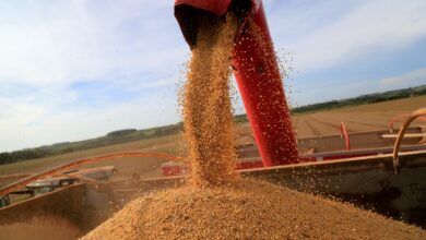 Foto de Guerra comercial de Trump e China cria oportunidades, mas ameaça ambiente do Brasil