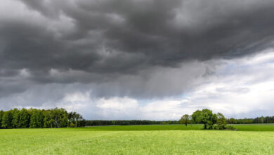 Foto de Chuvas abaixo da média marcam novembro no Rio…