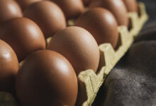Foto de Produção de ovos em Sergipe salta 26,5% e…