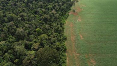Foto de Brasil apresenta soluções de financiamento climático em Nova York