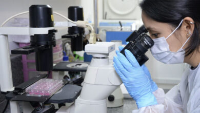 Foto de Sistema Paulista de Ambiente de Inovação passa por reformulações que facilitam a adesão