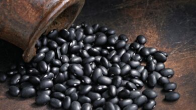 Foto de Demanda firme sustenta preços no mercado de…