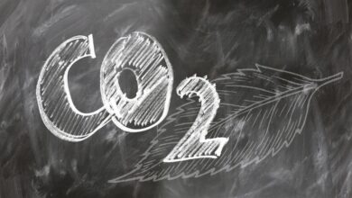 Foto de Coalizão Brasil lança propostas de baixo…