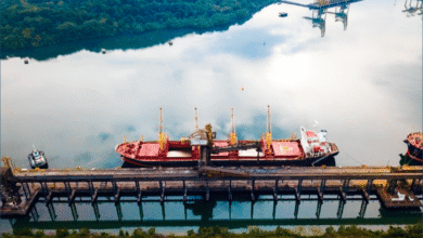 Foto de VLI atinge recorde de 285 mil toneladas de fertilizantes no Tiplam