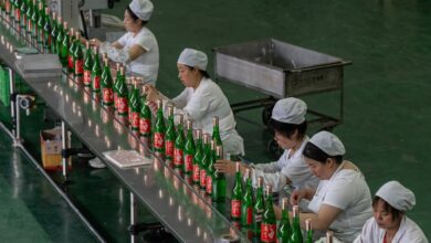 Foto de Geração Z rejeita destilado chinês, e marcas criam baijiu ‘leve’ com 29% de álcool