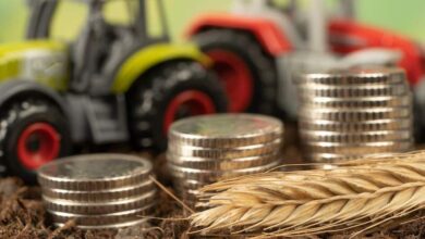 Foto de ARTIGO – Entre o campo e o calote: a análise de crédito rigorosa como escudo contra a inadimplência do Agro