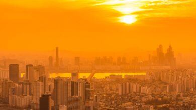 Foto de Ministros de Finanças querem elevar financiamento climático anual a US$ 1,3 tri