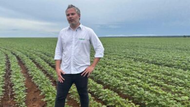 Foto de Grupo Biancon aposta em “safrinha de boi”, ILP e adubos orgânicos para recuperar margens