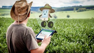 Foto de Grão Direto leva IA ao WhatsApp para acelerar comercialização de grãos com grandes tradings