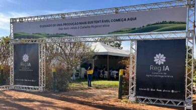 Foto de Brasilseg ingressa no consórcio Reg.IA e prepara lançamento inédito de “seguro regenerativo” na COP 30