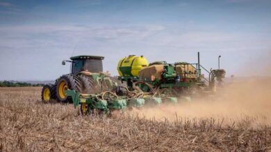 Foto de Otimismo moderado e produtor resiliente: o retrato do Rabobank para o agro em 2026