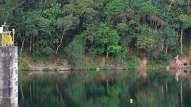 Foto de Prefeitura de São Caetano do Sul anuncia racionamento noturno de água
