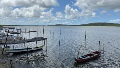 Foto de Ministério da Pesca cancela licença de mais…