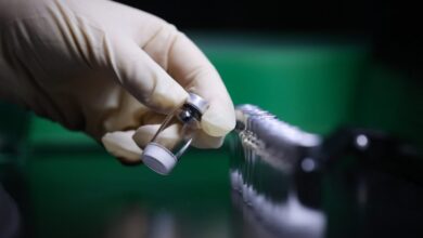 Foto de Trabalho de uma década: relembre como foram os estudos da vacina da dengue do Instituto Butantan