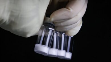 Foto de Vacina em pó? Conheça a tecnologia da vacina contra dengue