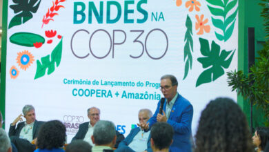 Foto de Com investimento de R$ 107 milhões, Sebrae e MDIC impulsionam cooperativismo extrativista na Amazônia Legal | ASN Nacional