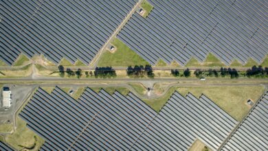 Foto de Brasol, apoiada pela BlackRock, mira R$ 20 bi em aquisições em energia solar no Brasil