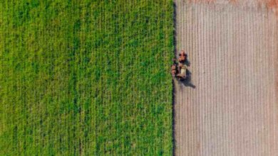 Foto de Cliente conversa menos com o vizinho, aumenta market share e garante lucro recorde para CTC