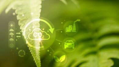 Foto de Políticas públicas coordenadas impulsionam a mobilidade de baixo carbono no Brasil até 2040, mostra estudo do Instituto MBCBrasil