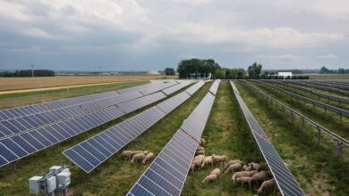 Foto de Metas climáticas merecem nossa atenção. Não as narrativas que as rotulam de ‘fraude’