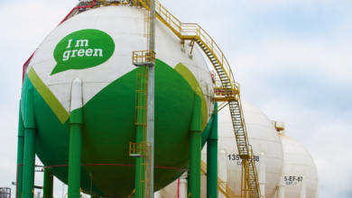 Foto de como os plásticos de origem renovável impulsionam a economia de baixo carbono