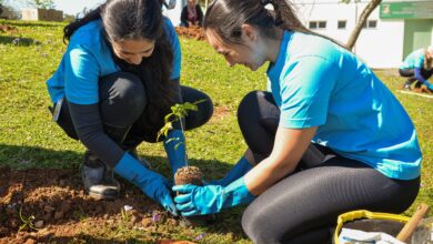Foto de Braskem coleta 6,5 toneladas de resíduos em ações globais do WeCare 2025