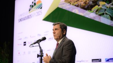 Foto de China avança na venda de fertilizantes em ano de “empate” para indústria brasileira