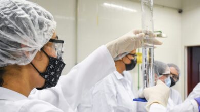 Foto de Educação de SP amplia em 49,8% as matrículas no ensino técnico para 2026