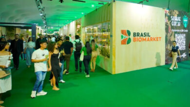 Foto de Sebrae convida público a vivenciar a força dos pequenos negócios amazônicos na segunda semana da COP30 | ASN Nacional