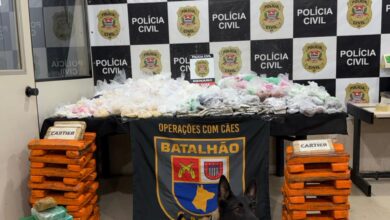 Foto de Cão farejador da PM encontra ‘casa bomba’ com 130 quilos de drogas em Paraisópolis