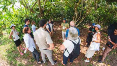 Foto de ARTIGO – Decisões de qual sorte teremos na COP 30?