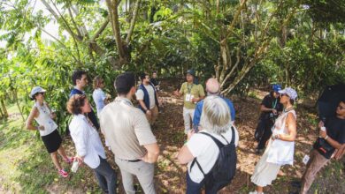 Foto de COP30: Como mostramos ao mundo a força do…