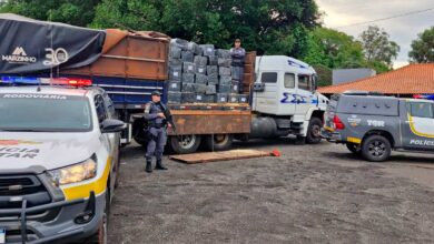 Foto de Muralha Paulista: Polícia Rodoviária ultrapassa 111 toneladas de drogas apreendidas no ano