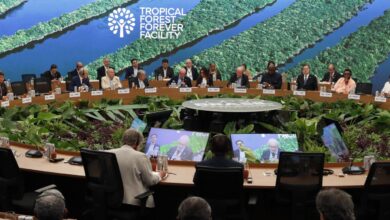 Foto de O agro entrou no debate climático. Falta…