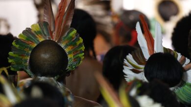 Foto de Demarcar terras dá segurança a quem protege o meio ambiente, diz MJ