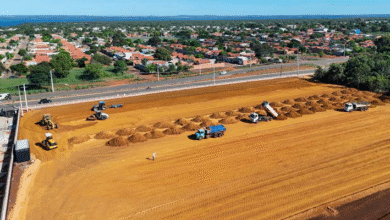 Foto de Novo Hospital da Mulher de Palmas inicia obras