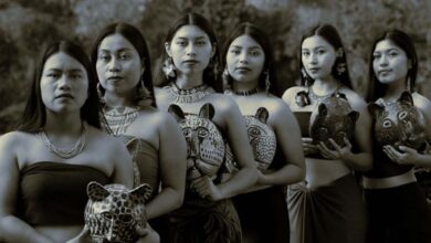 Foto de ONU puxa a orelha do Brasil, a doação singela…