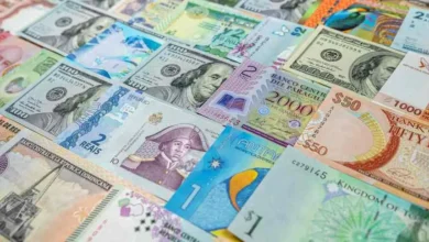 Foto de Além das ações, os brasileiros descobriram também os ETFs de Wall Street