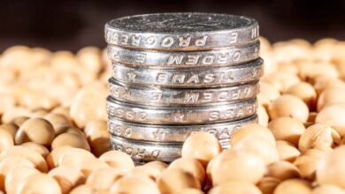 Foto de Nenhuma cultura escapa: Itaú BBA projeta margens menores para todas lavouras na safra 2025/2026