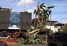 Foto de Apagão em SP pode ter causado prejuízo de até R$ 77,5 milhões ao comércio, diz ACSP
