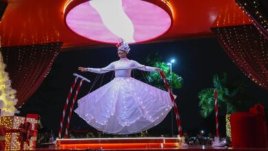 Foto de Montanha-russa, fábrica do Papai Noel e o…