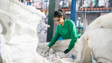 Foto de Inclusão e geração de renda: Sebrae promove rodada de negócios entre indústrias e organizações de catadores | ASN Nacional