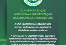 Foto de CNA avalia que PL traz avanços para o…